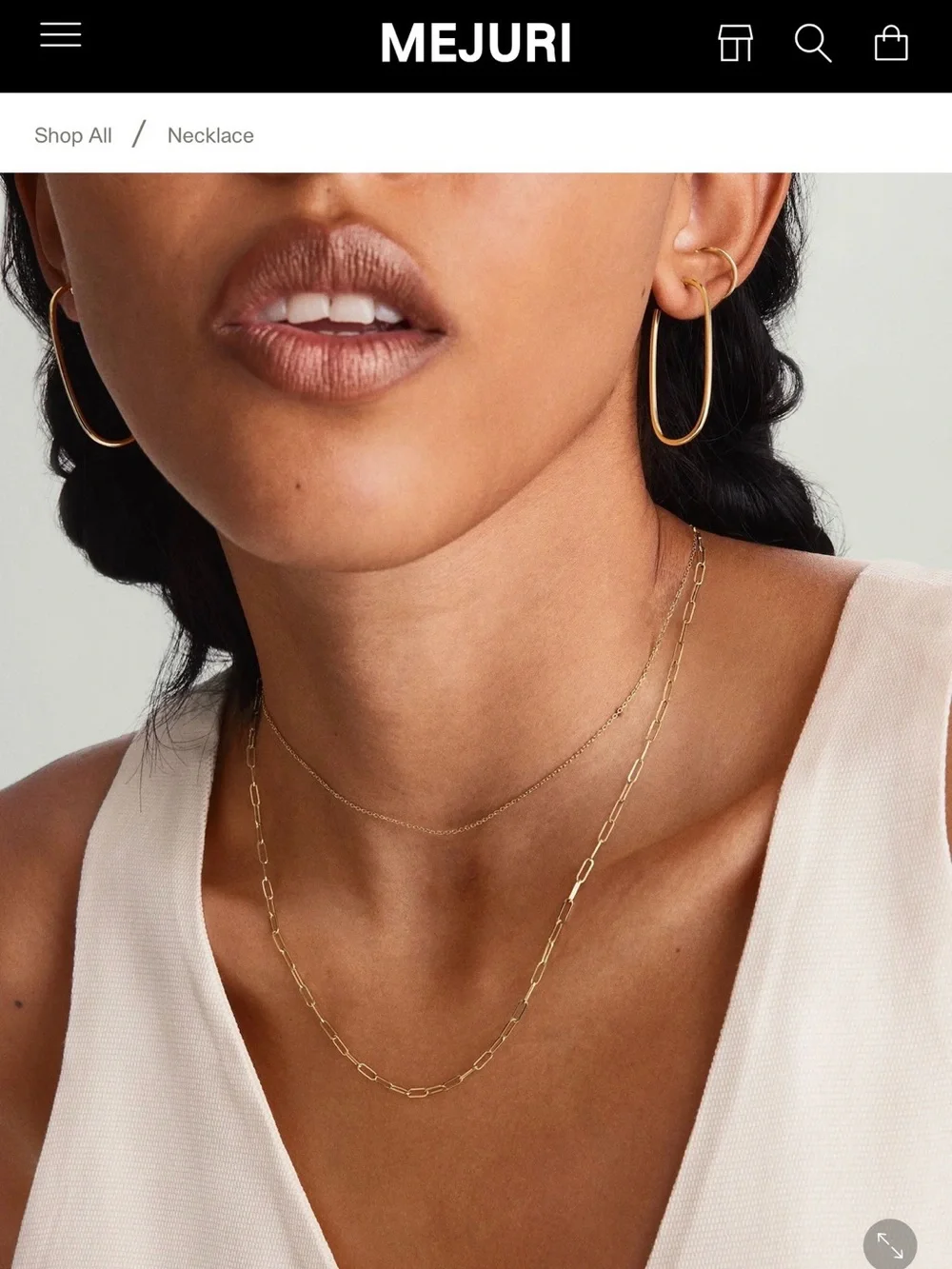 10k Mejuri Gold Paperclip Link Necklace